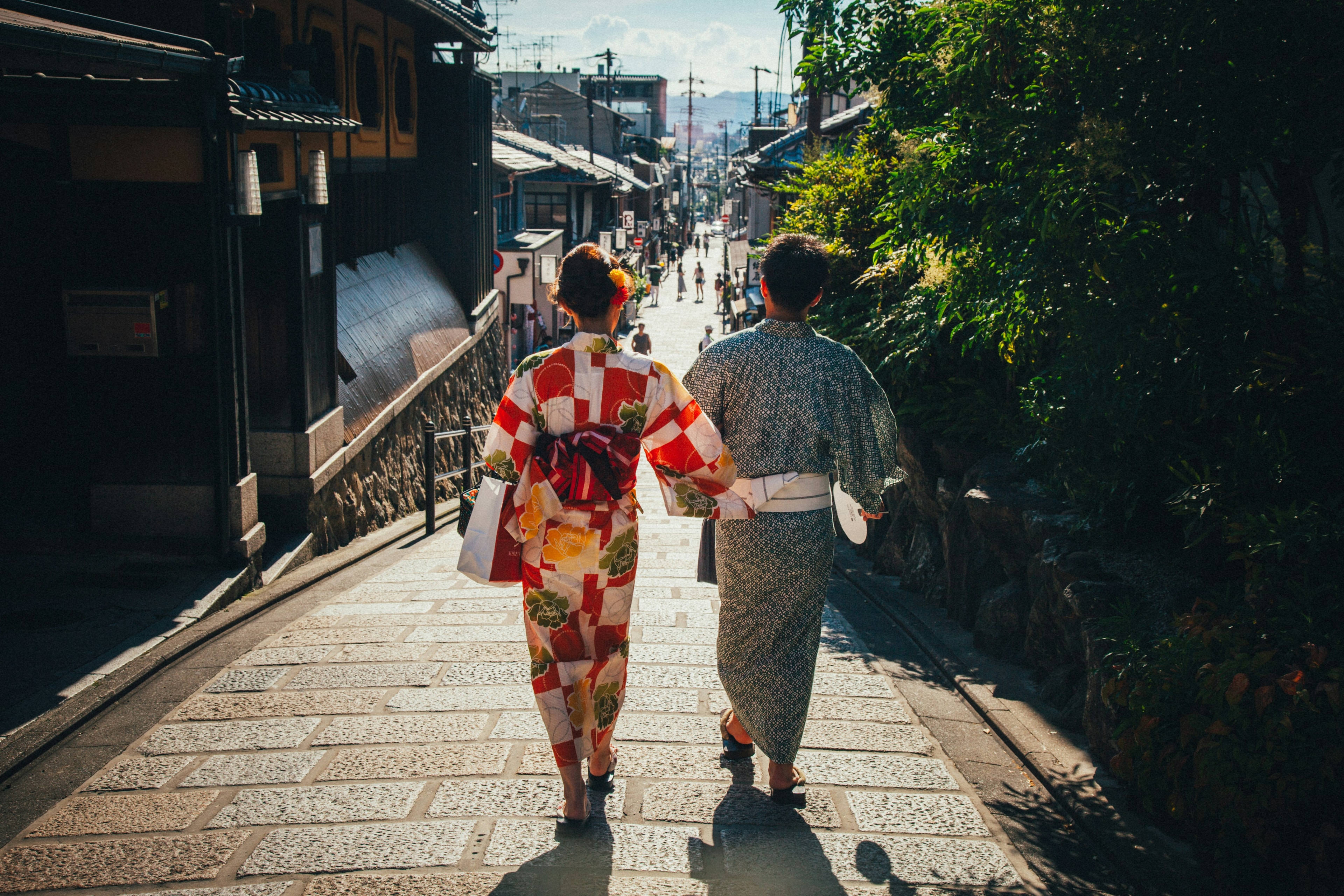 Kyoto Cultural Journey - image 2