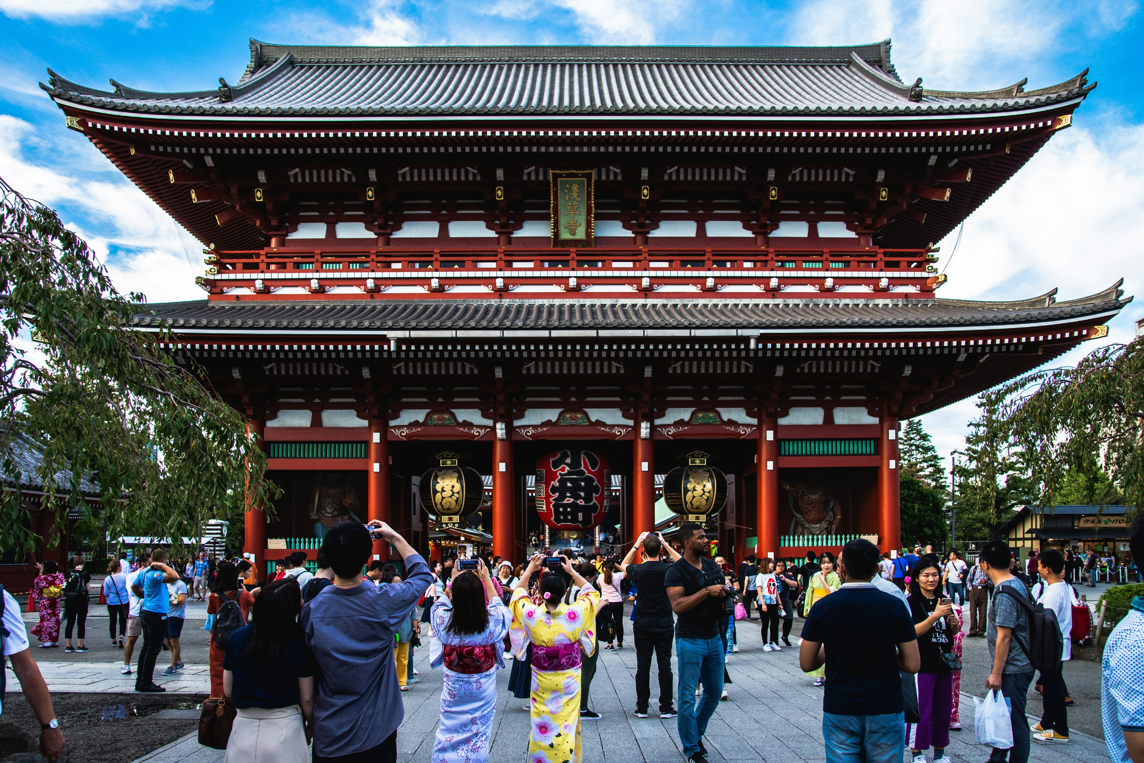 Kyoto Cultural Journey - image 3