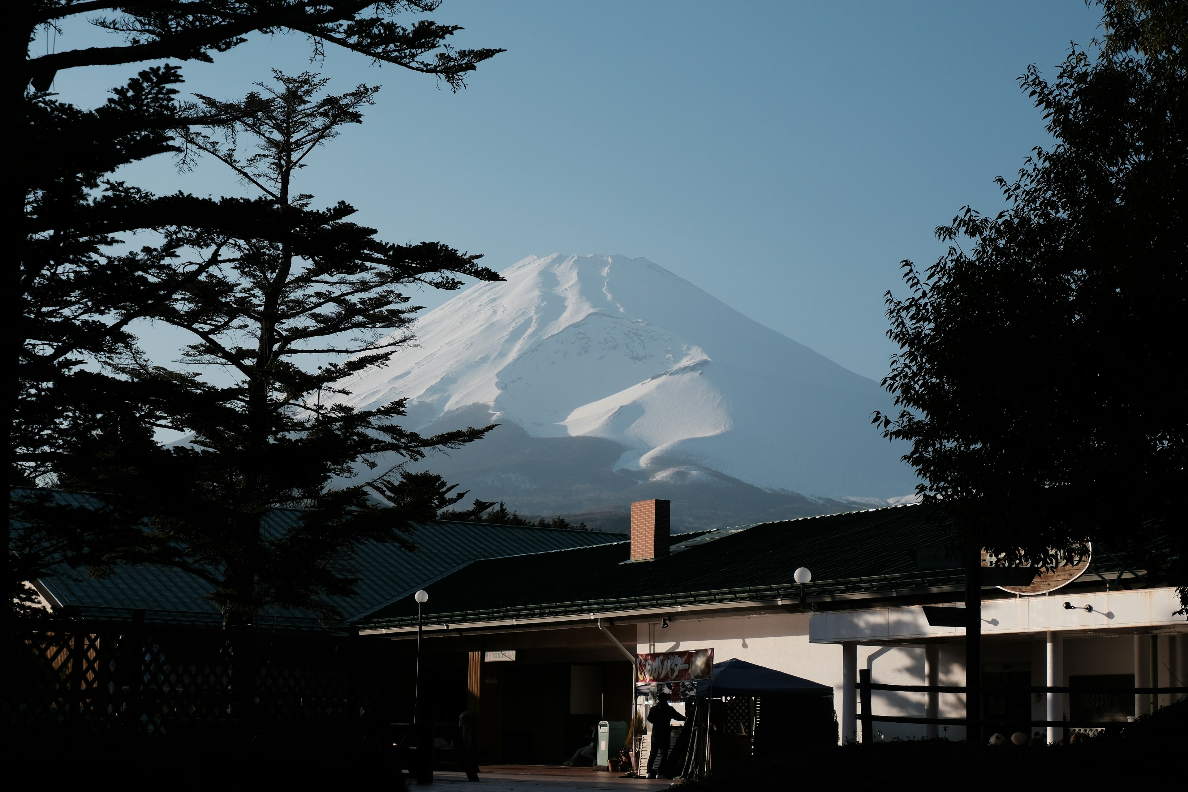 Mount Fuji Adventure - image 1